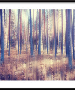 Lesní svět plakát