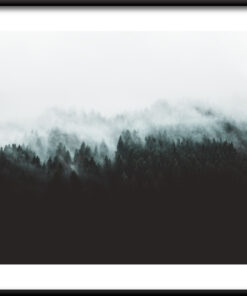 Tmavý lesní plakát