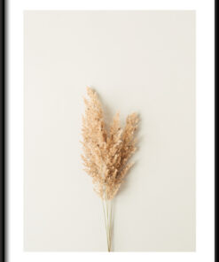 Portrét trávy plakát