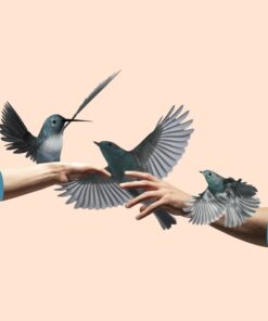 Fototapeta Ptáci v rukou