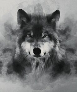 Fototapeta Fuzzy wolf