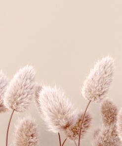 Fototapeta Pastelová tráva 2