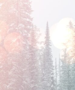 Fototapeta Bright Light