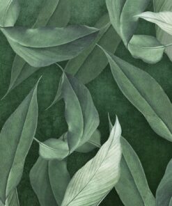 Fototapeta Mátové listy