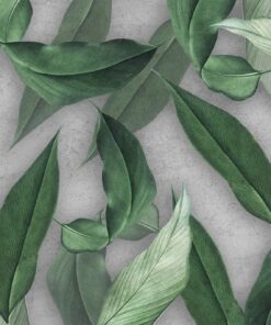 Fototapeta Mint Leaves