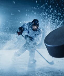 Fototapeta Hokejový puk