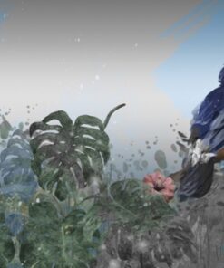 Fototapeta Tukani Na Větvích