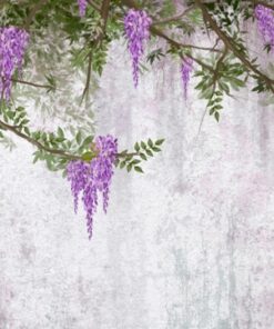 Samolepka na stěnu Violet Creeper