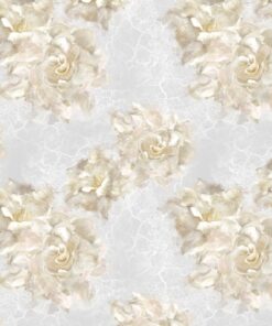 Fototapeta Cream Rose