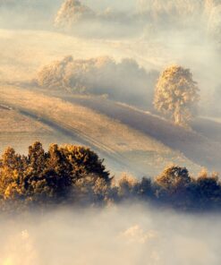 Fototapeta Morning Fog 2