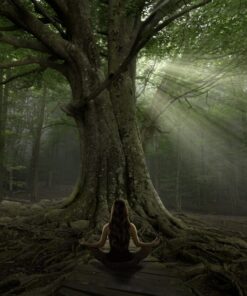 Fototapeta Jóga pod stromem