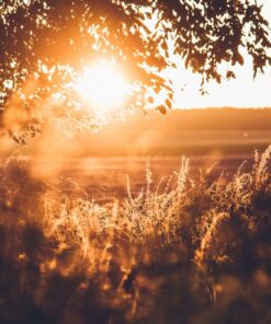 Fototapeta Odpolední slunce