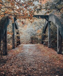 Fototapeta Most Saperki ve Štětíně