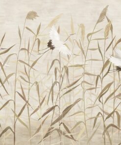 Fototapeta Volavky a stébla trávy