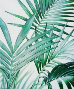 Fototapeta Palmové listy 10