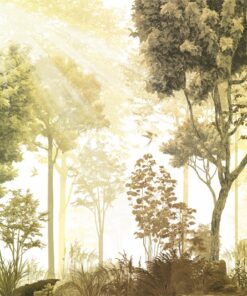 Fototapeta Slunce v lese 2