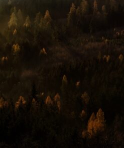 Fototapeta Jemné paprsky slunce