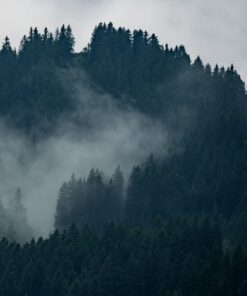 Fototapeta Misty Landscape 4