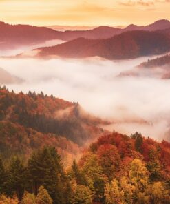 Fototapeta Majestic Fog