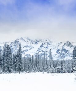 Fototapeta Krása zimy