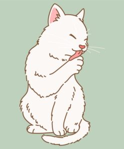 Fototapeta Pure Kitten