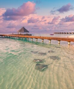 Fototapeta Krásné Bahamy