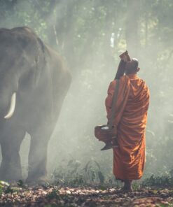 Fototapeta Mnich a slon 2