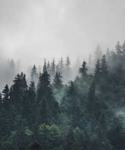 Fototapeta Padající mlha 2