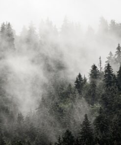 Fototapeta Grey Fog 2