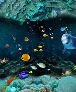 Fototapeta Podmořský svět 5