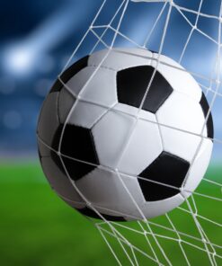 Fototapeta Fotbal v brance 2