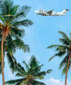 Fototapeta Flight Over The Palms