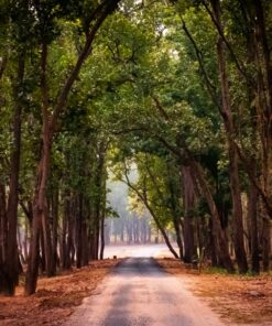 Fototapeta V národním parku