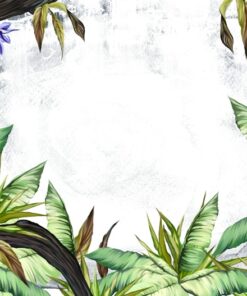 Fototapeta White of the Tropics