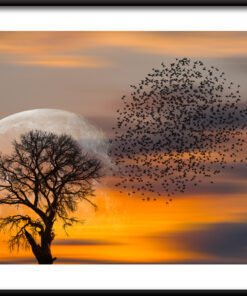 Strom a ptáci plakát