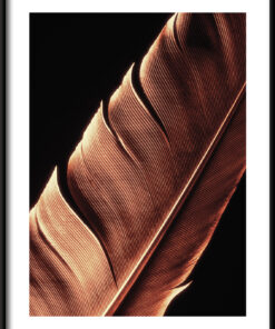 Zlaté peří plakát