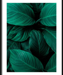 Tmavě zelený plakát