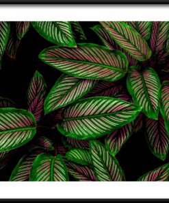 Růžový zelený plakát