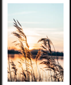 Plakát Slack Grasses