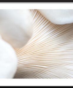 Bílé trubky plakát