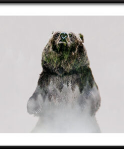 Plakát nebezpečného medvěda