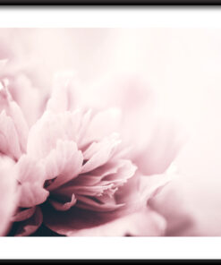 Květinový plakát zblízka