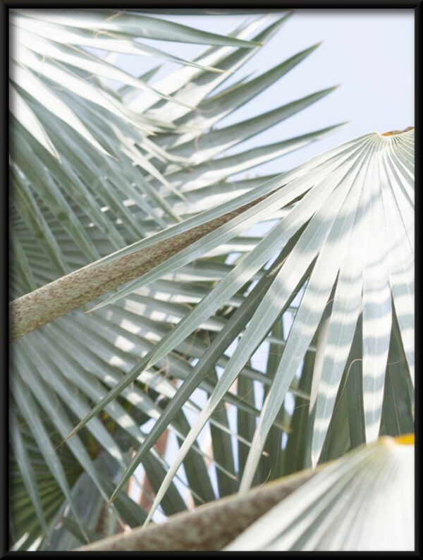 Plakát Palm Tree - Image 2