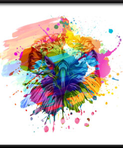 Barevný motýl plakát