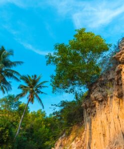 Fototapeta High Bank