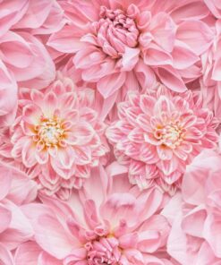 Fototapeta Pink Bouquet