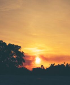 Fototapeta Západ slunce 14