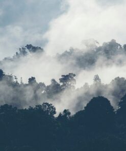 Fototapeta Padající mlha 3