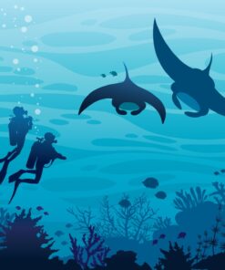 Fototapeta Pár potápěčů