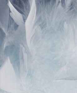 Fototapeta Světlé pírko 2